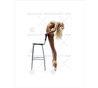 Wee Blue Coo PHOTO COMPOSITION UNDRESSED BALLET DANCER STRETCH CHAIR BLONDE PRINT B12X8160