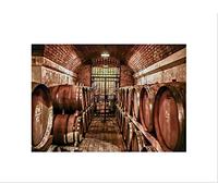 Wee Blue Coo Photo Composition Wine Cellar Vino Barrel Iron Gate Vineyard Art Wall Art Print
