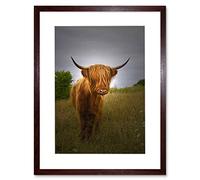 Wee Blue Coo Photo Farm Animal Highland Cow Calf Scotland Picture Framed Wall Art Print