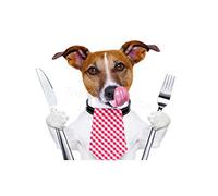 Wee Blue Coo Photo Hungry Jack Russell Dog Funny Wall Art Print