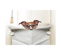 Wee Blue Coo Photo Jack Russell Toilet Reading Newspaper Picture Wall Art Print