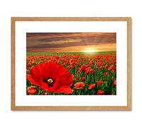 Wee Blue Coo Photo Landscape Poppy Field Sun Rise Red Flower Beautiful Framed Wall Art Print