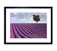 Wee Blue Coo PHOTO LAVENDER FIELD LONE TREE PURPLE LANDSCAPE FRAMED PRINT F97X3854