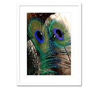 Wee Blue Coo Photo Macro Nature Peacock Feather Detail Colour Cool Framed Wall Art Print