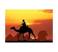 Wee Blue Coo Photo Mock Up Silhouette Sunset Egyptian Camel Wall Art Print