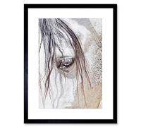 Wee Blue Coo Photo Nature Animal Close Up Andalusian Horse Framed Wall Art Print
