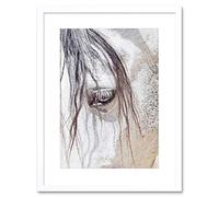Wee Blue Coo Photo Nature Animal Close Up Andalusian Horse Framed Wall Art Print
