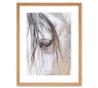 Wee Blue Coo Photo Nature Animal Close Up Andalusian Horse Framed Wall Art Print