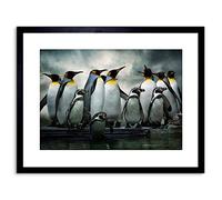 Wee Blue Coo PHOTO NATURE EMPEROR PENGUIN BIRDS FRAMED PRINT F97X3283