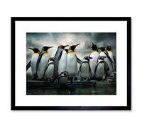 Wee Blue Coo Photo Nature Emperor Penguin Birds Framed Wall Art Print