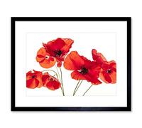 Wee Blue Coo Photo Nature Flower Poppy Heads Red Petals Framed Wall Art Print