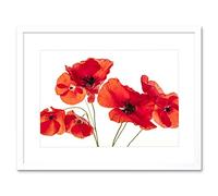 Wee Blue Coo Photo Nature Flower Poppy Heads Red Petals Framed Wall Art Print
