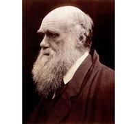 Wee Blue Coo PHOTO PORTRAIT CAMERON NATURALIST CHARLES ROBERT DARWIN ART PRINT POSTER HP1015