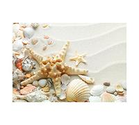 Wee Blue Coo Photo Sand Starfish Seashells Beach Summer Wall Art Print