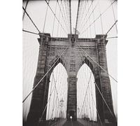 Wee Blue Coo Photograph Black White Ray Henders Brooklyn Bridge Art Print Poster Wall Decor 12X16 Inch