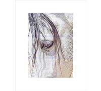 Wee Blue Coo PHOTOGRAPH NATURE ANIMAL CLOSE UP ANDALUSIAN HORSE FRAMED ART PRINT B12X13670