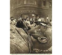 Wee Blue Coo Photograph Soviet Stalin Giant Statue Burn Historical Art Print Poster Wall Decor 12X16 Inch