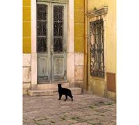 Wee Blue Coo Photography Black Cat Contrast Yellow Brick Old Door Canvas Print