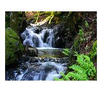Wee Blue Coo Photography Landscape Waterfall Stream Cascade Scenic Beautiful Art Print Poster Wall Decor 12X16 Inch