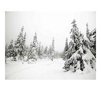 Wee Blue Coo Photography Landscape Winter Scene Snow Forest Trees Art Print Poster Wall Decor 12X16 Inch