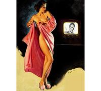 Wee Blue Coo Pin Up Girl Undressed TV Large Wall Art Poster Print Thick Paper 18X24 Inch