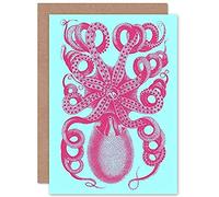 Wee Blue Coo Pink Octopus Blue Greeting Card With Envelope Inside Premium Quality