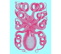Wee Blue Coo Pink Octopus Blue Large Wall Art Print Canvas Premium Poster