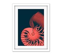 Wee Blue Coo Pink Seashell Nautilus Artwork Framed Wall Art Print 18X24 Inch