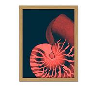Wee Blue Coo Pink Seashell Nautilus Artwork Framed Wall Art Print 18X24 Inch