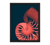 Wee Blue Coo Pink Seashell Nautilus Artwork Framed Wall Art Print 18X24 Inch
