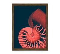 Wee Blue Coo Pink Seashell Nautilus Artwork Framed Wall Art Print 18X24 Inch