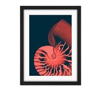 Wee Blue Coo Pink Seashell Nautilus Artwork Framed Wall Art Print 18X24 Inch