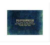 Wee Blue Coo PLUVIOPHILE LOVE RAIN QUOTE MOTIVATION TYPOGRAPHY BLUE FRAMED PRINT B12X13960