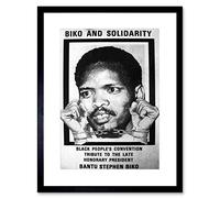 Wee Blue Coo POLITICAL STEVE BIKO ANC APARTHEID SOUTH AFRICA FRAMED ART PRINT MOUNT B12X4583