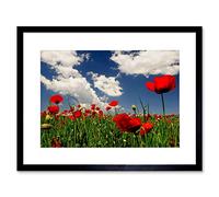 Wee Blue Coo POPPY FIELD CLOUDS SKY BELGIUM SOMME BLACK FRAMED ART PRINT PICTURE B12X9154