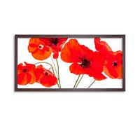 Wee Blue Coo Poppy Flowers Red Petals Long Panel Framed Wall Art Print