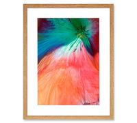 Wee Blue Coo Poppy Petal Colour Tint Artwork Framed Wall Art Print 12X16 Inch