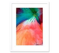 Wee Blue Coo Poppy Petal Colour Tint Artwork Framed Wall Art Print 12X16 Inch