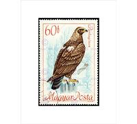 Wee Blue Coo POSTAGE STAMP HUNGARY 60 FORINT IMPERIAL EAGLE BIRD PREY FRAMED PRINT B12X11042