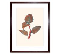 Wee Blue Coo Primary Coloured Exotic Flora Art Print Brown Framed Poster Wall Decor 12x16 inch