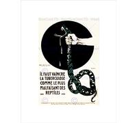 Wee Blue Coo PUBLIC INFORMATION MEDICAL DISEASE TUBERCULOSIS TB SNAKE FRANCE PRINT B12X12324
