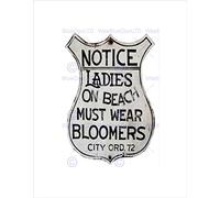 Wee Blue Coo Public Information Warning Notice Modesty Bloomers USA Wall Art Print