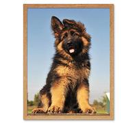 Wee Blue Coo Puppy German Shepherd Alsatian Art Print Framed Poster Wall Decor 12X16 Inch