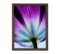Wee Blue Coo Purple Tulip Flower Bloom Artwork Framed Wall Art Print 18X24 Inch