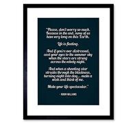 Wee Blue Coo Quote Robin Williams Don't Worry Life Spectacular Framed Wall Art Print