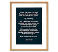 Wee Blue Coo Quote Robin Williams Don't Worry Life Spectacular Framed Wall Art Print