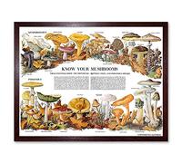 Wee Blue Coo Science Biology Mycology Mushroom Gus Toadstool Chart Art Print Framed Poster Wall Decor 12X16 Inch