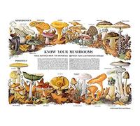 Wee Blue Coo Science Biology Mycology Mushroom Gus Toadstool Chart Art Print Poster Wall Decor 12X16 Inch