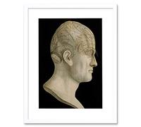 Wee Blue Coo Science Phrenology Head Spurzheim Organ Brain Frame Art Print Picture F12X1761