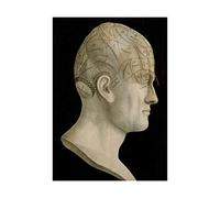 Wee Blue Coo Science Phrenology Head Spurzheim Organ Brain Picture Wall Art Print
